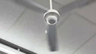 Ceiling Fans Tractor Supply