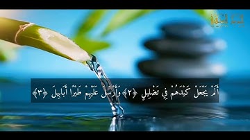 Surat Al-Fil   Hicham Lharraz ( N 105 رقمها  ) سورة الفيل مكتوبة للقارئ هشام الهراز