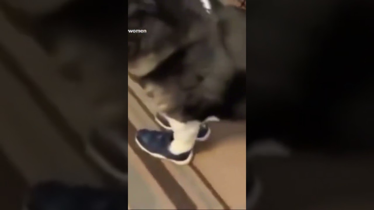 Im AI with the braids