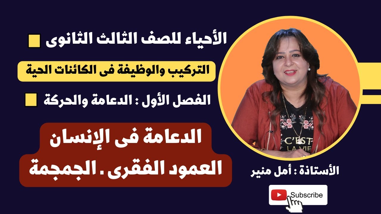 الأحياء للصف الثالث الثانوي |  الدعامة فى الإنسان | العمود الفقرى ـ الجمجمة