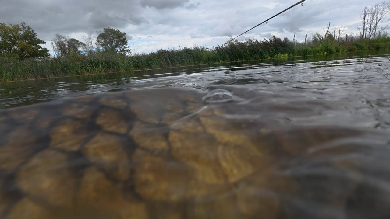 hollandpeca 8   / csatorna /