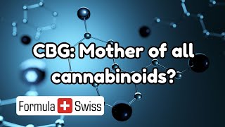 CBG: The mother of all cannabinoids? Discover its power! Wealth
