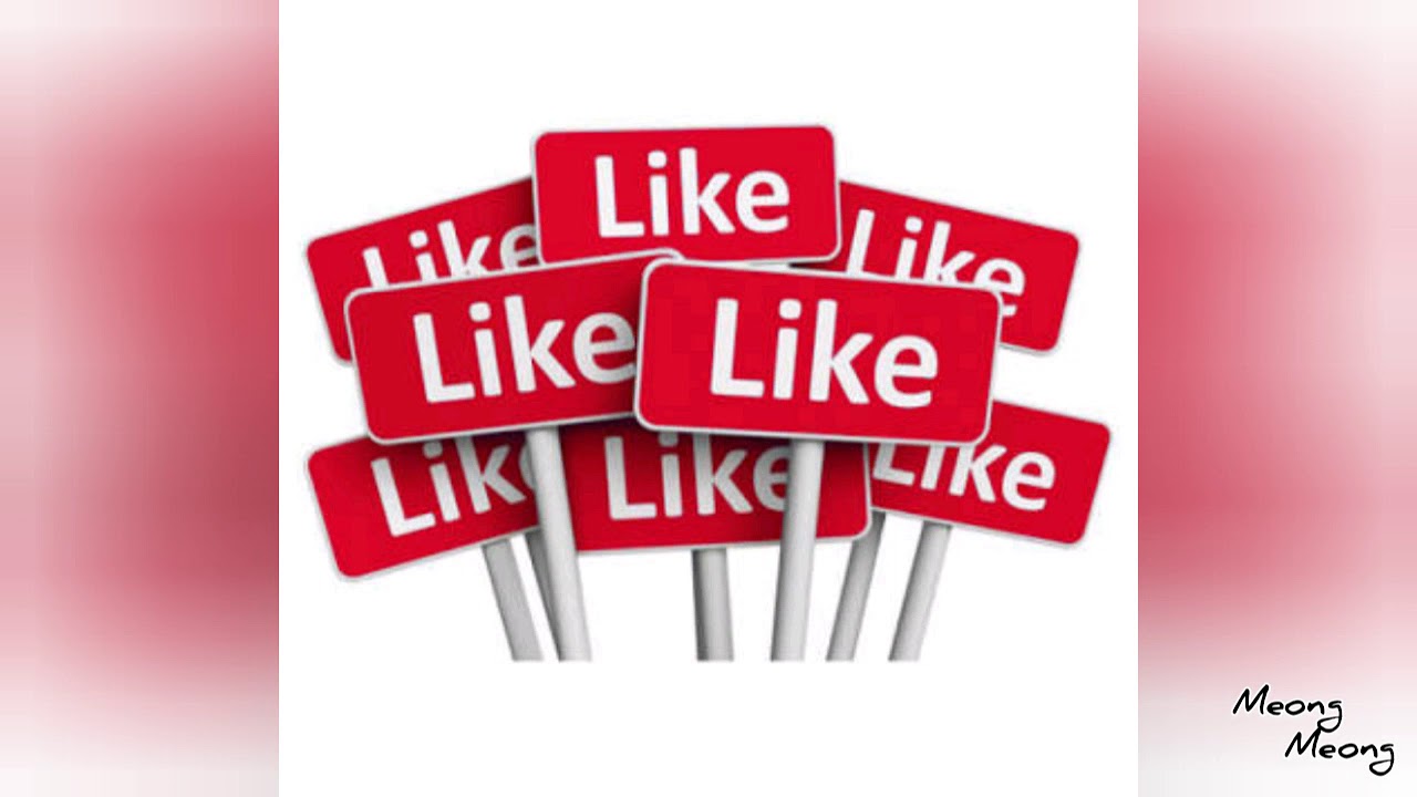 Absen nama-nama kucing || nama kucing lucu,imut,dan menggemaskan 