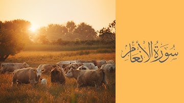 6. Surat Al-An’am -| Mishary Rashid Alafasy | سورة الأنعام