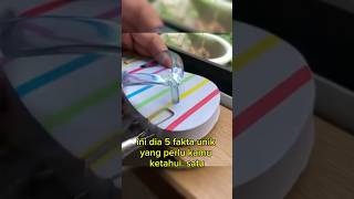 Ini Dia 5 Fakta Unik Yang Perlu Kamu Ketahui. #short #shorts #shortvideo #ytshorts #youtubeshorts