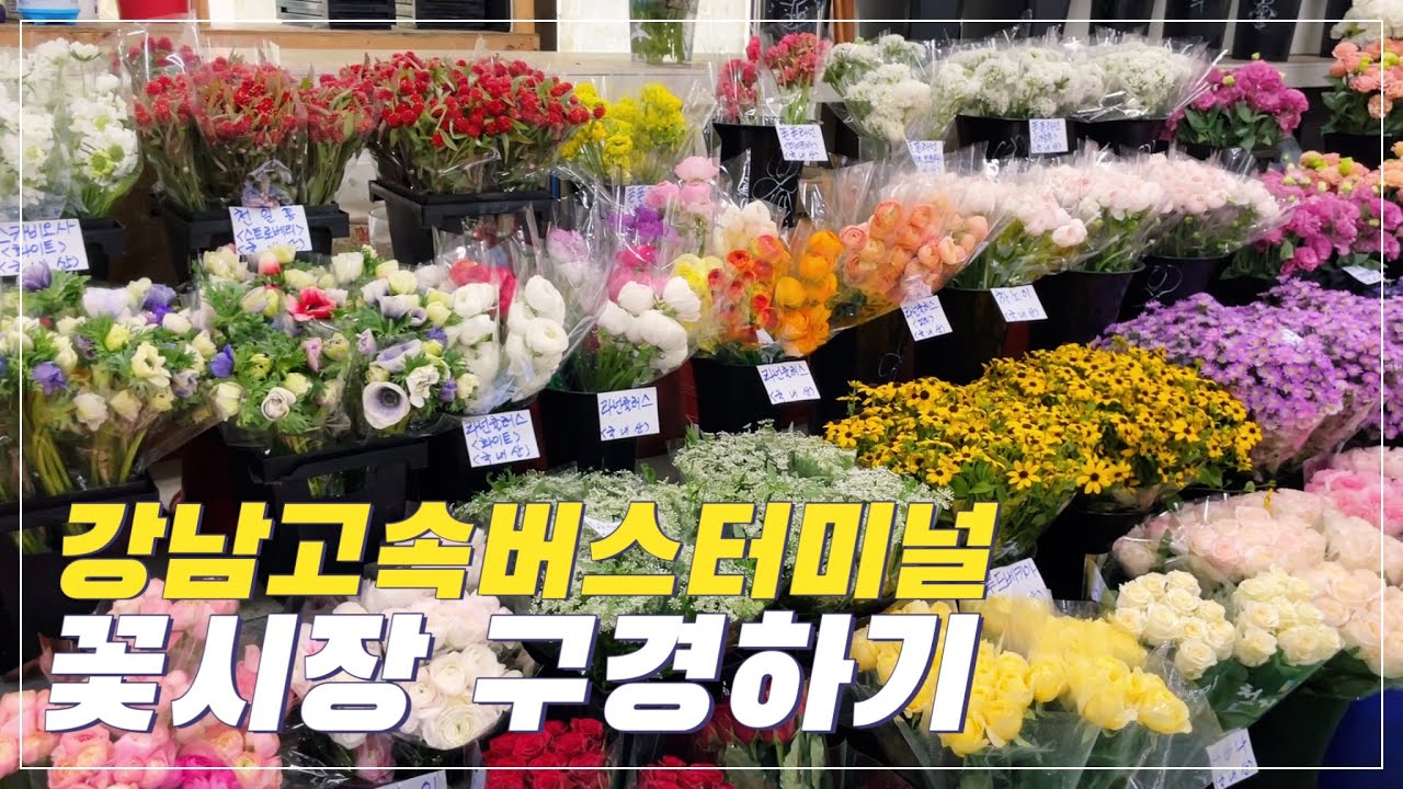 강남고속버스터미널 꽃시장구경🌷Flower market in Seoul / 화훼시장 / 스튜디오 셀프부케 / 꽃다발