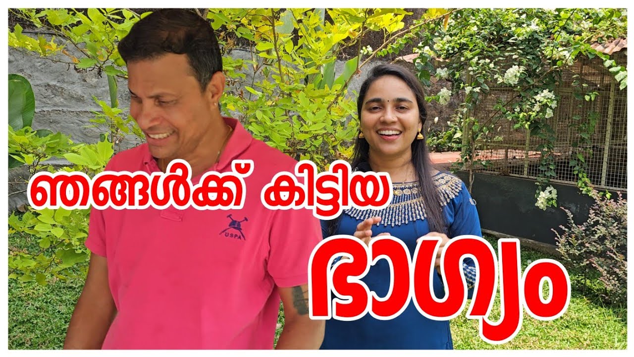 ഞങ്ങൾക്ക് കിട്ടിയ ഭാഗ്യം ♥️/Family vlog /Fish fry/Chena theeyal /Vegetarian recipe /Village cooking