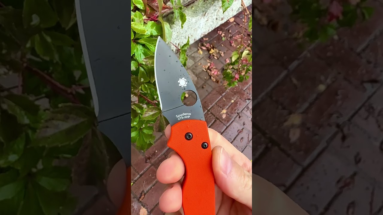 Spyderco Lil’ Native CTS-XHP C230GPORBK 