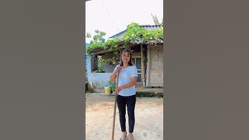 Biến hình mẹ chồng nàng dâu