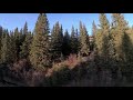 Trees And River 1080