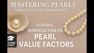 6  Introduction to Pearl Value Factors