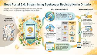 Bees Portal 2 0 User Guide