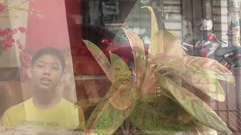 Membuat tugas Informatika Vlog Perkenalan diri