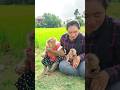 Great Video Super SokYaa And Sokhaa Very Adorable Harmony Animals Around The World Shorts Great Video Super SokYaa And Sokhaa Very Adorable Harmony Animals Around The World Shorts