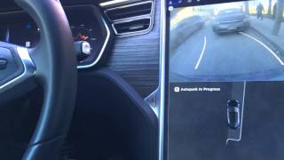 First Time using Tesla Autopark... Nailed it! (Loud Cursing)