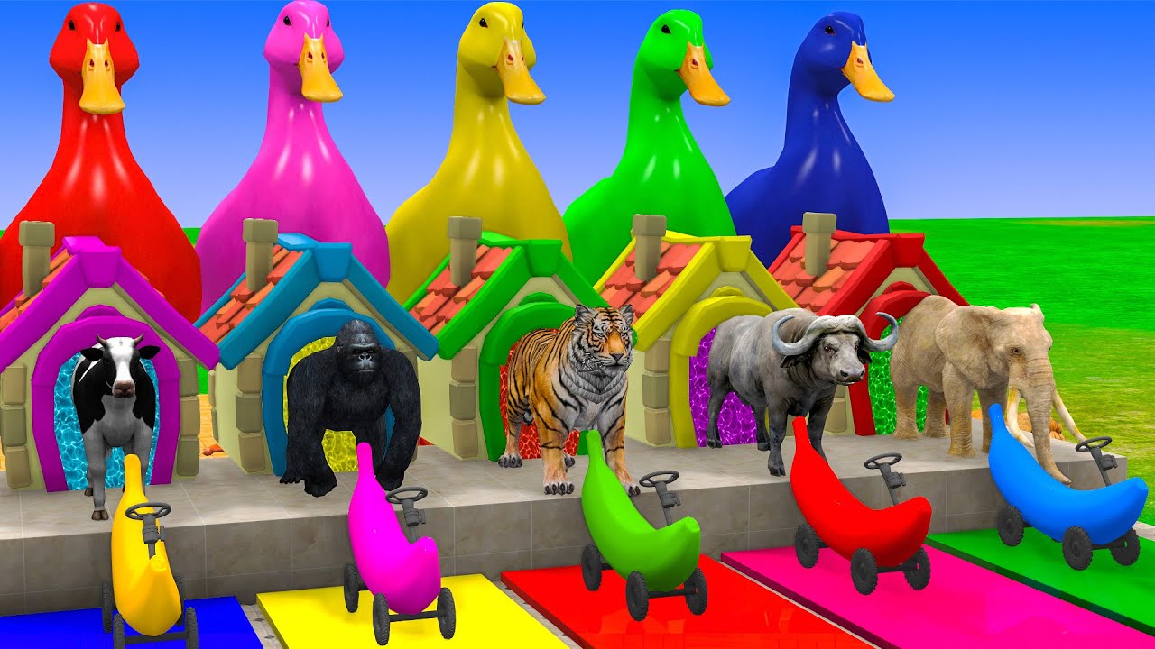 Long Slide Game With Elephant Gorilla Buffalo Hippopotamus Tiger 3d Animal Game Funny 3d Animals