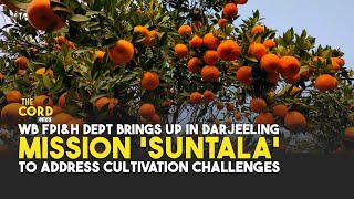 Mission Suntala to Address Orange Cultivation Challenges in Darjeeling