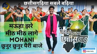 छत्तीसगढ़िया सबले बढ़िया | Dance Video | Zumba Video | Zumba Fitness With Unique Beats | Vivek Sir