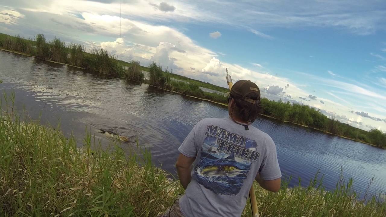 Gator Hunting at STA1N in South Florida 9'7" YouTube