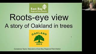 Roots-eye View: A Story of Oakland in Trees