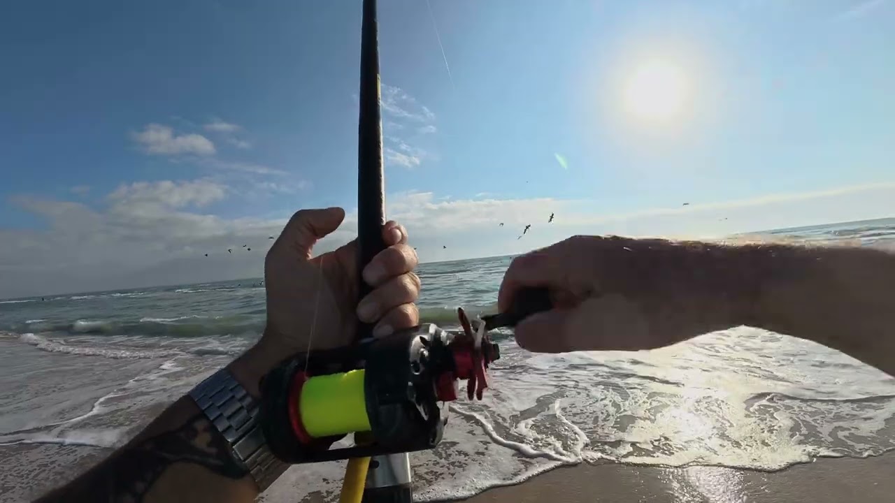 How to find Jack Fish