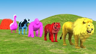 Long Slide Game With Elephant Gorilla Buffalo Hippopotamus Tiger  3d Animal Game  Funny 3d Animals