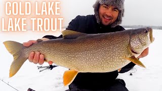 How to Catch Cold Lake Trout Alberta Plus Jaw Jacker