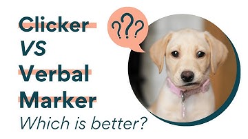 Clicker VS Verbal Marker - which is better for dog training