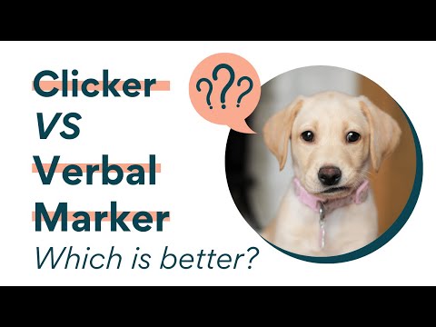 What is a clicker and why use one? An introduction to event markers