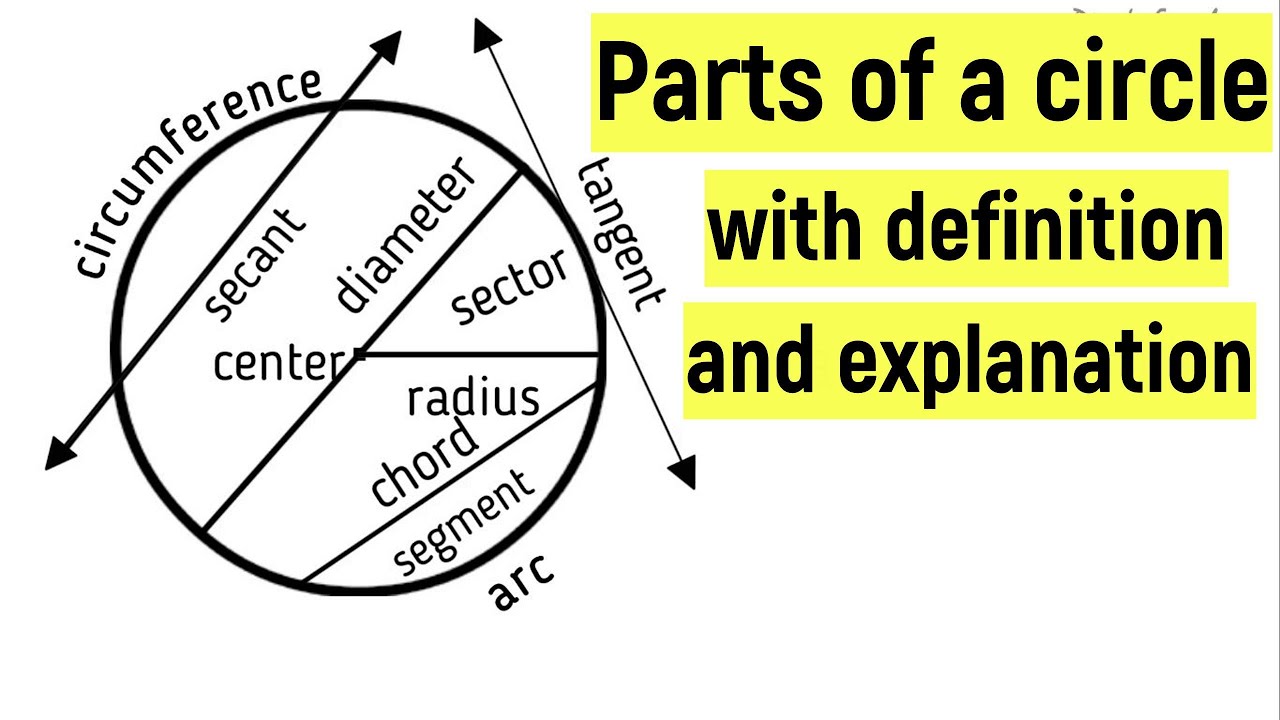 Parts Of A Circle With Explanation Learn The Parts Of A Circle