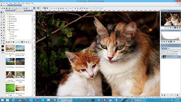 Built-in image viewer in Hornil StylePix Pro