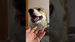 Гель беру  на WB (копируй с WW) артикул — #WW320669