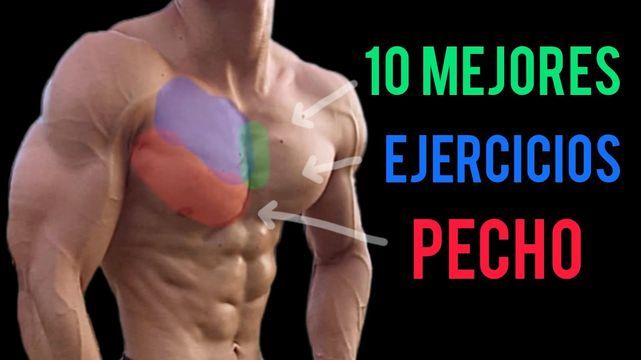 Los 10 Mejores Ejercicios Para Desarrollar un Pecho Perfecto - YouTube
