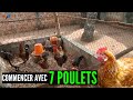 7 poulets pour obtenir 65 poulets goliath en 6 mois levage de poulet en afrique investissement