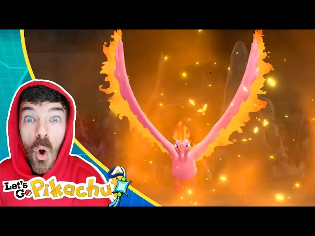 Shiny Moltres Hunting In Let's Go Pikachu LIVE 