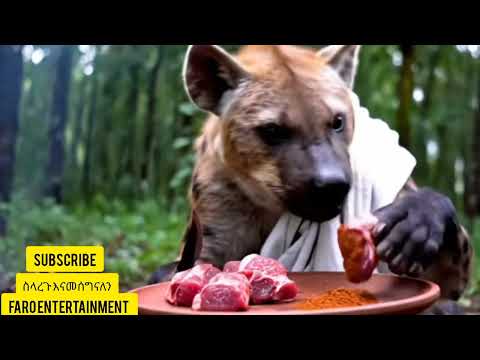 ለጓደኛየ_ሟች_ነኝ ኣጭር በ #ai የተሰራ ፊልም #shortmovie #donkeykong #vlog #Donkytube #voe3 #viral #trending