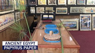 Cairo -The Last Papyrus Makers in Egypt keeping a 5000 Year Old craft Alive | Cleopatra Papyrus