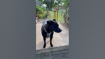 edTPA Prep Assignment Part 1 Original Video