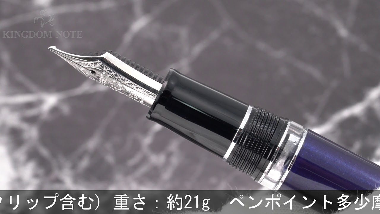 SAILOR セーラー 万年筆 趣味の文具箱限定 プロフェッショナルギア