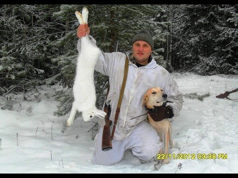 РГ Певка ВПКОС 5222/18 вл. Кузнецов Н.С.
