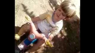 As Flores Do Jardim-Roberto Carlos Álvaro Conrado