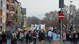 FFF Demo in Mainz Freitag -17. Januar 2020 - kurzer Eindruck