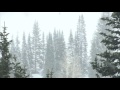 10 Hours of Winter Snow Storm Sounds | High-Quality Winter Snow and Wind Sounds