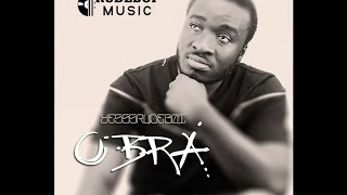 Yesssrudeboi - Obra Audio Slide