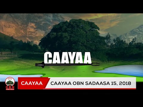 Caayaa Bulchinsa Magaalaa Sandaafaa Bakkee OBN Sadaasa 15 2018