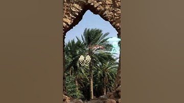 #قران_كريم #ارح_قلبك #اكسبلور #لايك #تلاوة_هادئة #راحة_نفسية