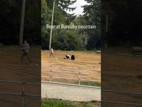 When Books Are Life And Crocs Are Everything Fypyoutube Bear Burnaby Canadalife Canada Fyp