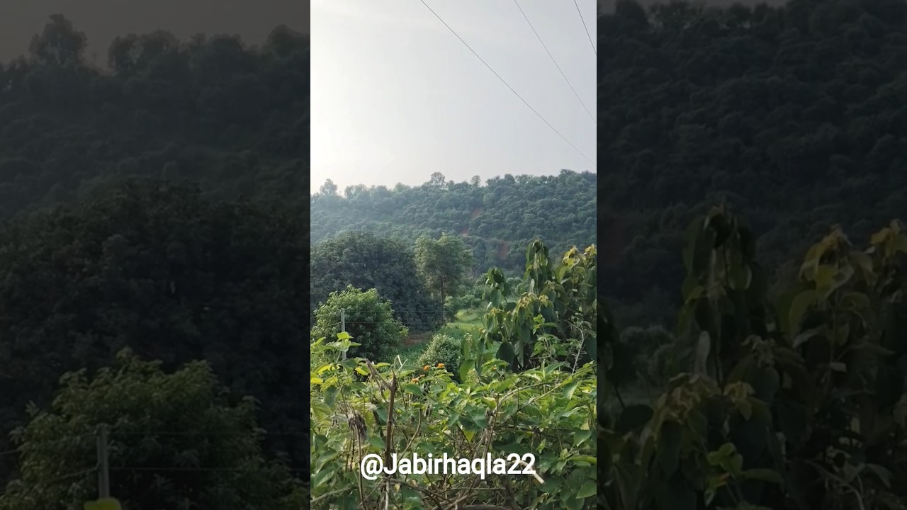 zindagi pyar ka Geet hai