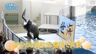 メインサムネイル