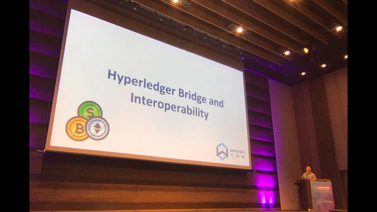 Wanchain at Hyperledger Member Summit 2019 in Tokyo